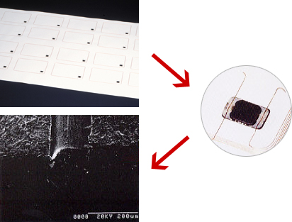 High Frequency Inlet & Low Frequency Inlet　 width=